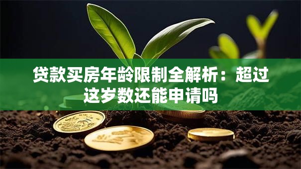 贷款买房年龄限制全解析：超过这岁数还能申请吗