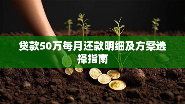 贷款50万每月还款明细及方案选择指南
