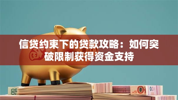 信贷约束下的贷款攻略：如何突破限制获得资金支持
