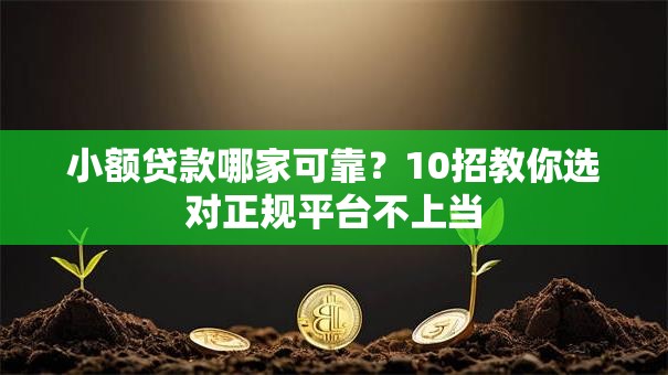 小额贷款哪家可靠？10招教你选对正规平台不上当