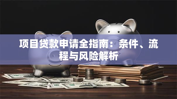 项目贷款申请全指南：条件、流程与风险解析