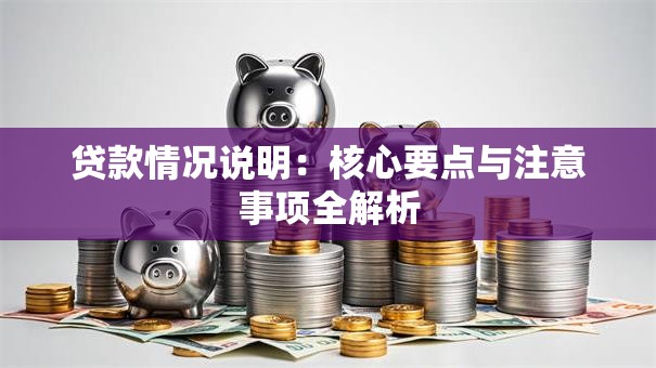 贷款情况说明：核心要点与注意事项全解析