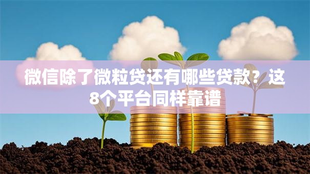 微信除了微粒贷还有哪些贷款？这8个平台同样靠谱