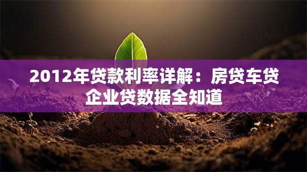 2012年贷款利率详解：房贷车贷企业贷数据全知道