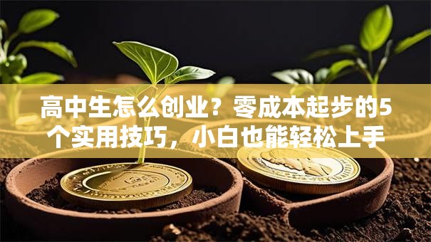 高中生怎么创业？零成本起步的5个实用技巧，小白也能轻松上手！