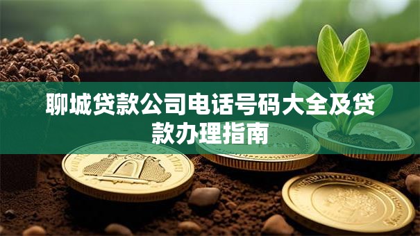 聊城贷款公司电话号码大全及贷款办理指南