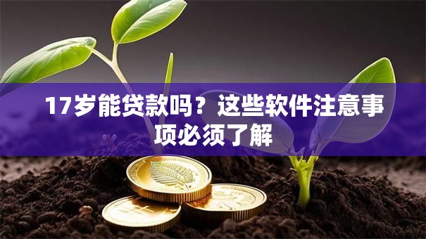 17岁能贷款吗？这些软件注意事项必须了解