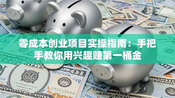 零成本创业项目实操指南：手把手教你用兴趣赚第一桶金