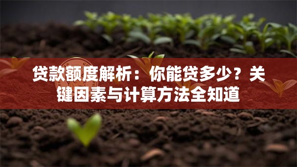 贷款额度解析：你能贷多少？关键因素与计算方法全知道