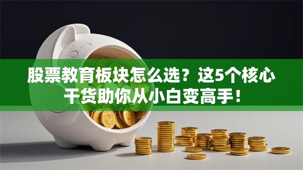股票教育板块怎么选？这5个核心干货助你从小白变高手！