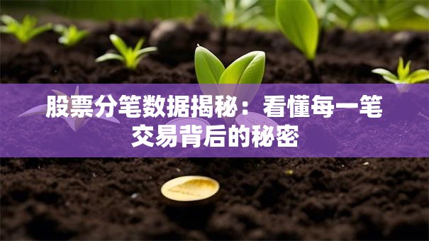 股票分笔数据揭秘：看懂每一笔交易背后的秘密