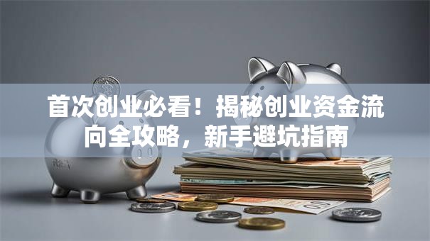 首次创业必看！揭秘创业资金流向全攻略，新手避坑指南