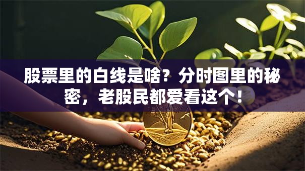 股票里的白线是啥？分时图里的秘密，老股民都爱看这个！