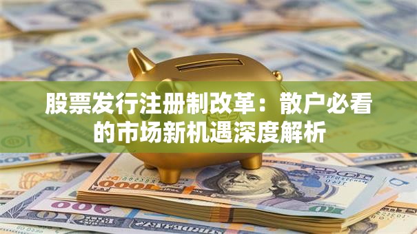 股票发行注册制改革:散户必看的市场新机遇深度解析 股票发行注册制改革:散户必看的市场新机遇深度解析