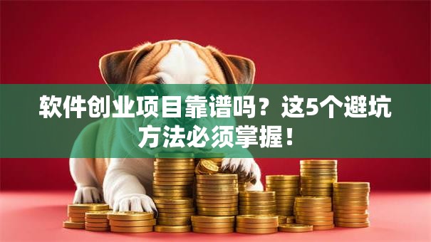 软件创业项目靠谱吗？这5个避坑方法必须掌握！