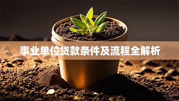事业单位贷款条件及流程全解析