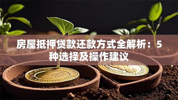 房屋抵押贷款还款方式全解析：5种选择及操作建议