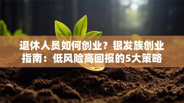 退休人员如何创业？银发族创业指南：低风险高回报的5大策略