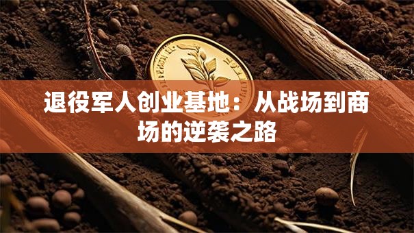 退役军人创业基地：从战场到商场的逆袭之路