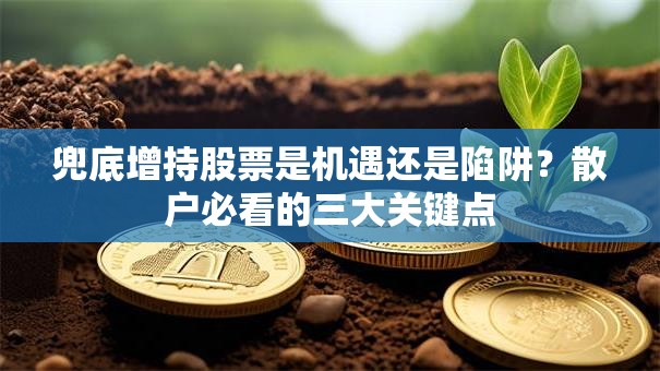 兜底增持股票是机遇还是陷阱？散户必看的三大关键点