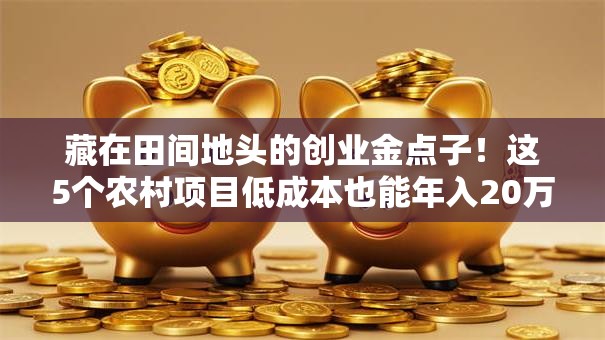 藏在田间地头的创业金点子！这5个农村项目低成本也能年入20万