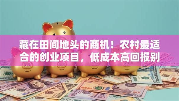 藏在田间地头的商机！农村最适合的创业项目，低成本高回报别小瞧！