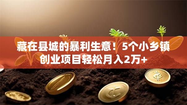 藏在县城的暴利生意！5个小乡镇创业项目轻松月入2万+