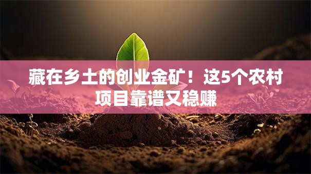 藏在乡土的创业金矿！这5个农村项目靠谱又稳赚