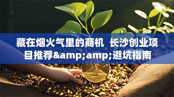 藏在烟火气里的商机  长沙创业项目推荐&amp;避坑指南