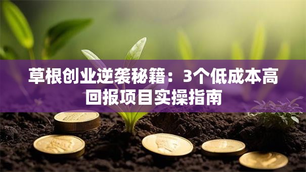 草根创业逆袭秘籍：3个低成本高回报项目实操指南