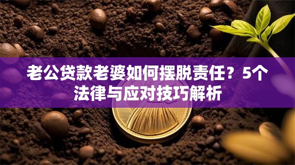 老公贷款老婆如何摆脱责任？5个法律与应对技巧解析