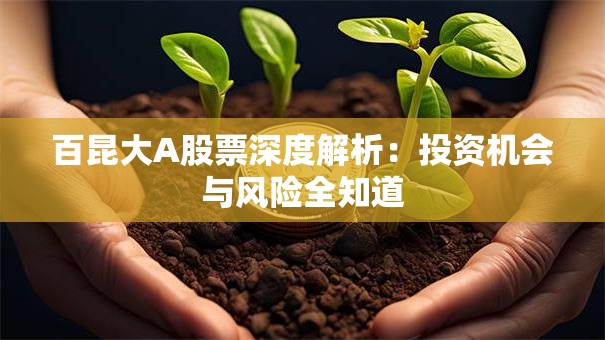 百昆大A股票深度解析：投资机会与风险全知道