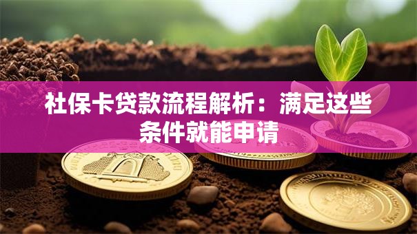 社保卡贷款流程解析：满足这些条件就能申请