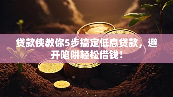 贷款侠教你5步搞定低息贷款，避开陷阱轻松借钱！