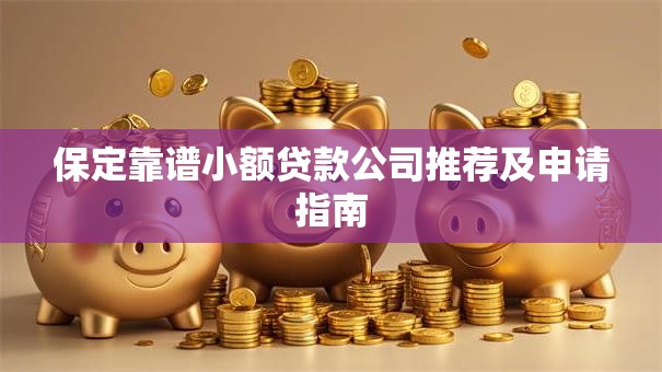 保定靠谱小额贷款公司推荐及申请指南