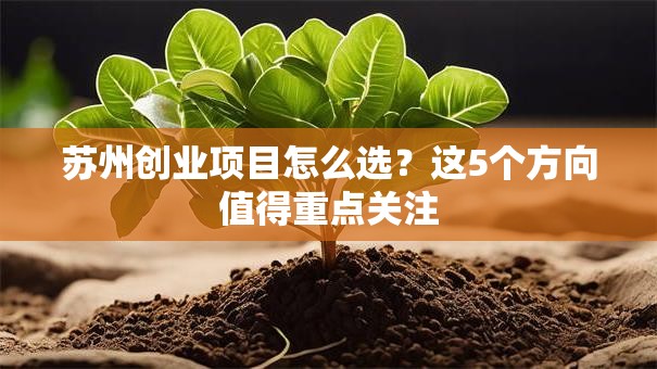 苏州创业项目怎么选？这5个方向值得重点关注