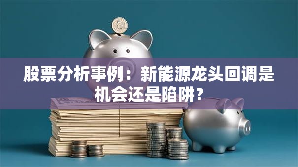 股票分析事例：新能源龙头回调是机会还是陷阱？