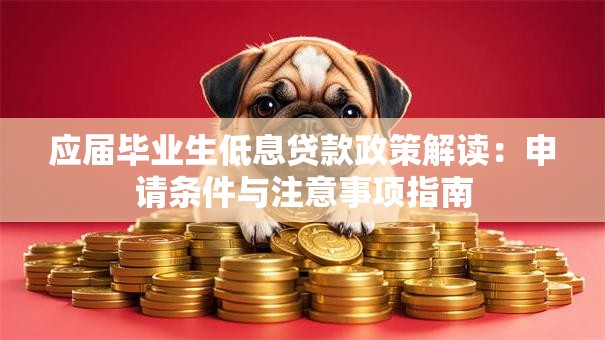 应届毕业生低息贷款政策解读：申请条件与注意事项指南