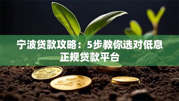 宁波贷款攻略：5步教你选对低息正规贷款平台