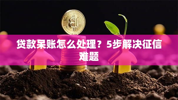 贷款呆账怎么处理？5步解决征信难题
