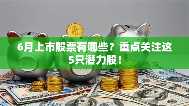 6月上市股票有哪些？重点关注这5只潜力股！
