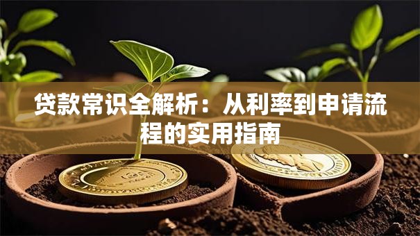 贷款常识全解析：从利率到申请流程的实用指南