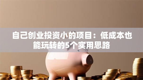自己创业投资小的项目：低成本也能玩转的5个实用思路