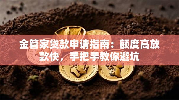 金管家贷款申请指南：额度高放款快，手把手教你避坑