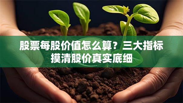 股票每股价值怎么算？三大指标摸清股价真实底细