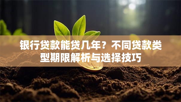 银行贷款能贷几年？不同贷款类型期限解析与选择技巧