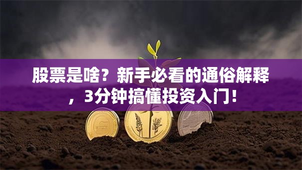 股票是啥？新手必看的通俗解释，3分钟搞懂投资入门！
