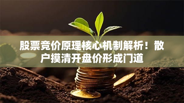 股票竞价原理核心机制解析！散户摸清开盘价形成门道