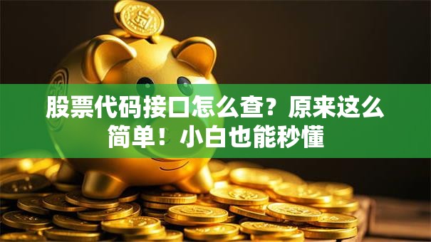 股票代码接口怎么查？原来这么简单！小白也能秒懂