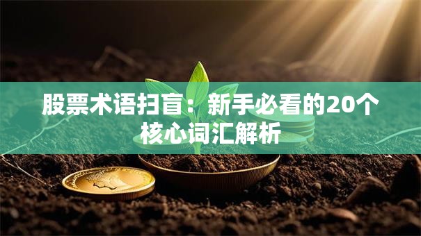 股票术语扫盲：新手必看的20个核心词汇解析
